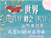 2017WCS山東賽區4月29日在濱州國際會展中心圓滿結束！ 
